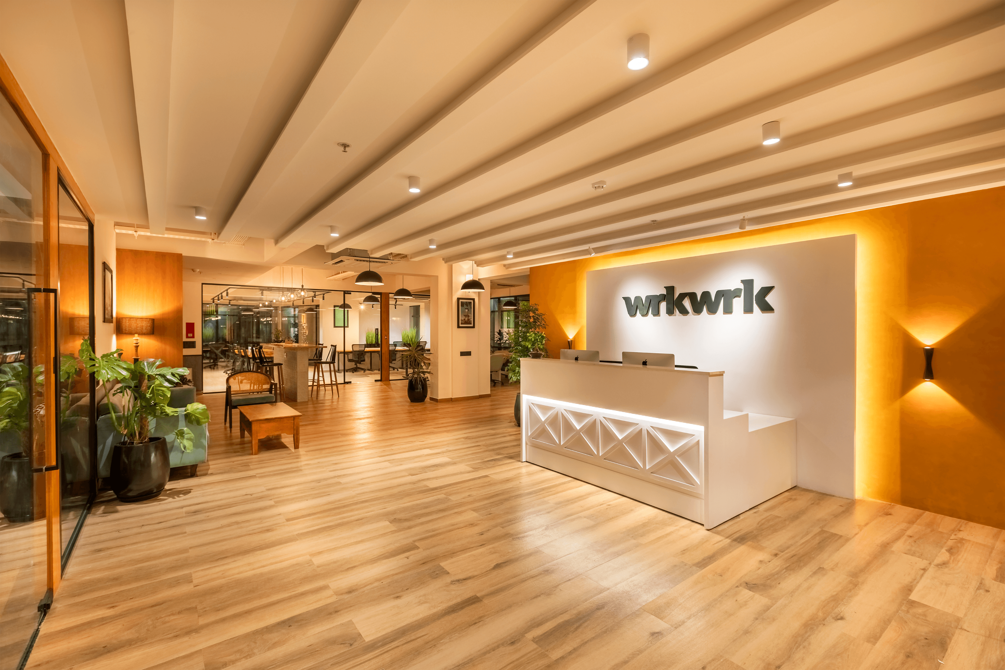 From seedling to sequoia